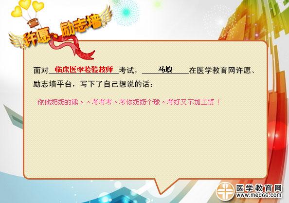 收入证明_临床医学收入(2)